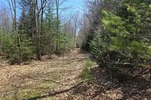Lot 26-1 Old County Rd, West Paris, ME 04289 - Photo 1