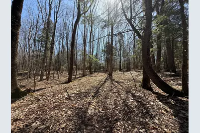 21 Curtis Road, Freeport, ME 04032 - Photo 17