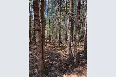 Lot 016-2 142 Old Fisher Rd Road, Holden, ME 04429 - Photo 7
