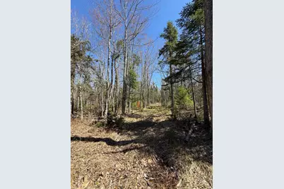 Lot 016-01 142 Old Fisher Rd Road, Holden, ME 04429 - Photo 5
