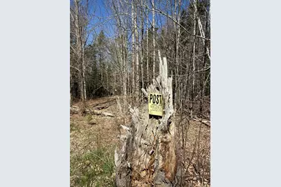 Lot 016-01 142 Old Fisher Rd Road, Holden, ME 04429 - Photo 9
