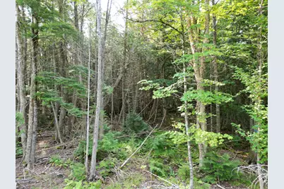 Lot 33-4 West Road, Springfield, ME 04487 - Photo 9