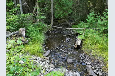 Lot 33-4 West Road, Springfield, ME 04487 - Photo 5
