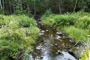 Lot 33-4 West Rd, Springfield, ME 04487 - Photo 1