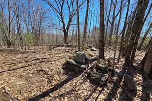 56 A Buzzell Ln, Greene, ME 04236 - Photo 45