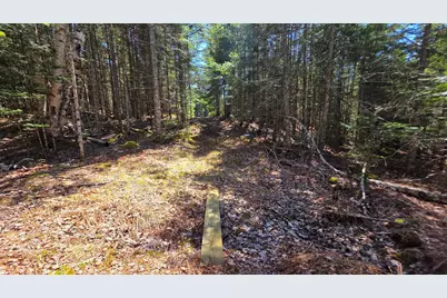 170 Ocean View Road, Jonesboro, ME 04648 - Photo 49
