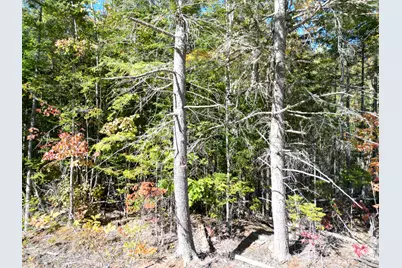 Lot 14 Whitetail Way, Lowell, ME 04493 - Photo 5
