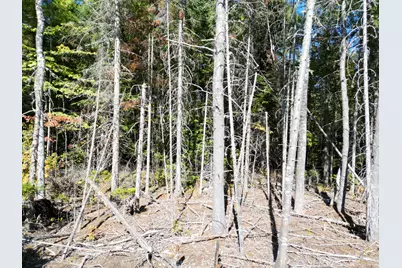 Lot 14 Whitetail Way, Lowell, ME 04493 - Photo 3