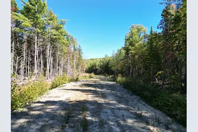 Lot 14 Whitetail Way, Lowell, ME 04493 - Photo 23
