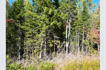 Lot 14 Whitetail Way, Lowell, ME 04493 - Photo 25