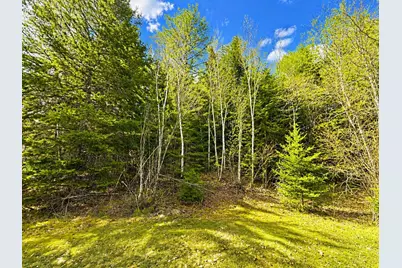 M1978L142D Love Lake Road, Crawford, ME 04694 - Photo 11