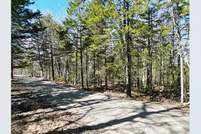 Lot 117N Long Lake Road, Wesley, ME 04686 - Photo 5