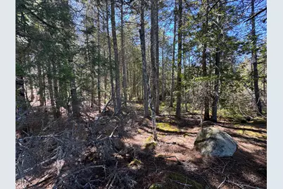 Lot 117N Long Lake Road, Wesley, ME 04686 - Photo 11