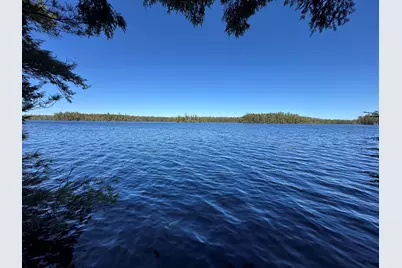 Lot 117N Long Lake Road, Wesley, ME 04686 - Photo 1