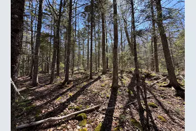 Lot 117N Long Lake Road, Wesley, ME 04686 - Photo 7