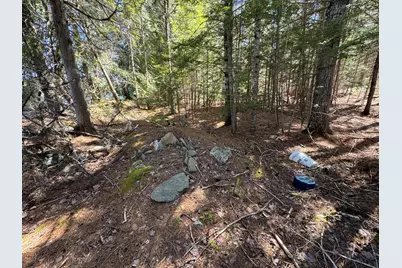Lot 117N Long Lake Road, Wesley, ME 04686 - Photo 9