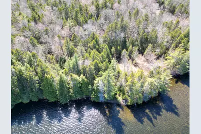 Lot 117N Long Lake Road, Wesley, ME 04686 - Photo 25