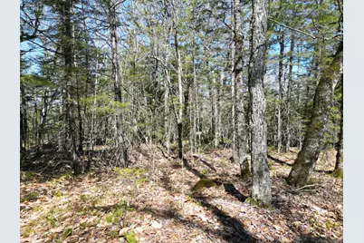Lot 117N Long Lake Road, Wesley, ME 04686 - Photo 15
