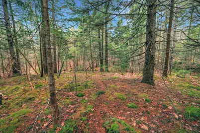 0 Swamp Road, Gouldsboro, ME 04607 - Photo 3