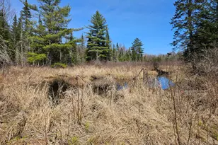 469 Norton Hill Rd, Strong, ME 04983 - Photo 77