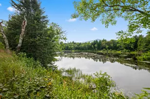 397 Pond Brook Rd, Magalloway Plt, ME 04970 - Photo 7