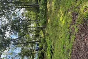 133 Lake Rd, Norway, ME 04268 - Photo 67