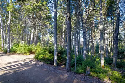 Lot 17 Wilderness Shore Road S, Steuben, ME 04680 - Photo 11