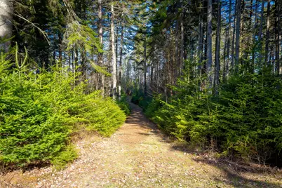 Lot 17 Wilderness Shore Road S, Steuben, ME 04680 - Photo 13