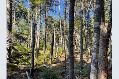 9 Rockledge Road, South Thomaston, ME 04858 - Photo 9