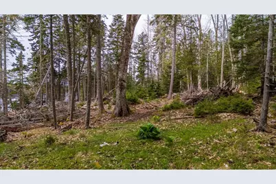 Map 22 Lot 4B Big Tree Lane, Islesboro, ME 04848 - Photo 19