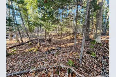 Map 22 Lot 4B Big Tree Lane, Islesboro, ME 04848 - Photo 17