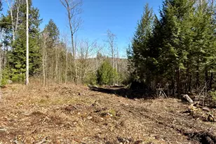 Map8Lot53B Buckfield Rd, Paris, ME 04271 - Photo 1