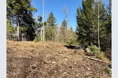 Map8Lot53B Buckfield Road, Paris, ME 04271 - Photo 3