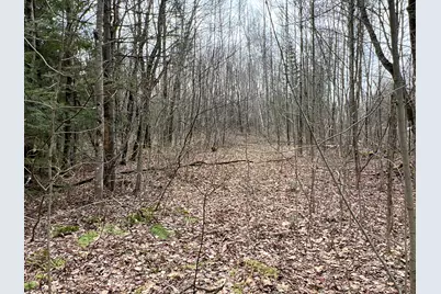 Lot 5-9 Grindstone Road, Medway, ME 04460 - Photo 7