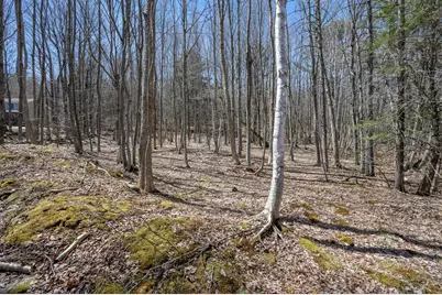 [Address not provided], West Paris, ME 04289 - Photo 39