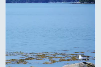 73 Taunton Bay Shores Road, Franklin, ME 04634 - Photo 39