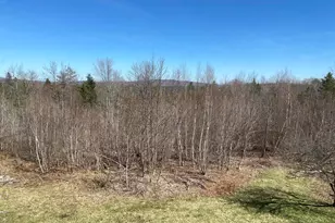 20 Bean Hill, Harmony, ME 04942 - Photo 39