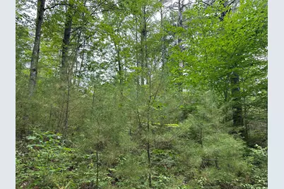 M 7 L 5-5 Blandings Lane, Shapleigh, ME 04076 - Photo 5