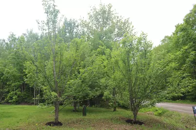 51 White Orchard Road, Frankfort, ME 04438 - Photo 31