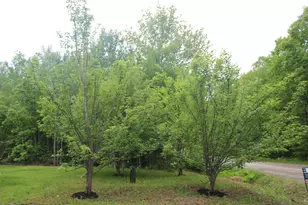 51 White Orchard Rd, Frankfort, ME 04438 - Photo 31