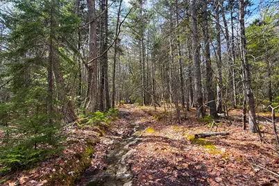 2030 Atlantic Highway, Lincolnville, ME 04849 - Photo 5