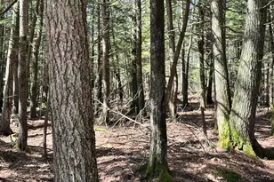 218 Plummer Rd, Richmond, ME 04357 - Photo 27