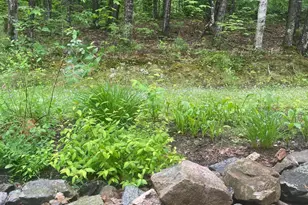 6 Eisenhower Ct, Naples, ME 04055 - Photo 9