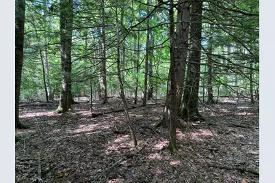 34-Acres Deering Drive, Gorham, ME 04038 - Photo 9