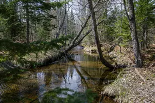 461 4 Mile Square Rd, Anson, ME 04911 - Photo 39