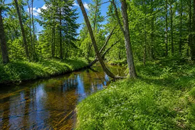 461 Four Mile Square Road, Anson, ME 04911 - Photo 3