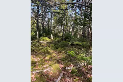 37 Missy Way, Steuben, ME 04680 - Photo 7