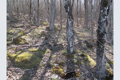 L6 Ranch Road, Buckfield, ME 04220 - Photo 5