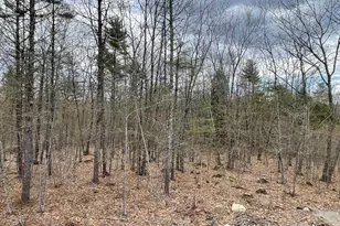 201 Dunton Rd, Naples, ME 04055 - Photo 9