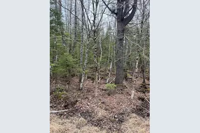 M6L1 Church Lane, Weston, ME 04424 - Photo 5